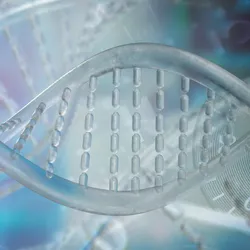 The Psychiatric Genetics Group - web graphic