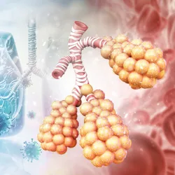 The Respiratory Immunology Laboratory - web graphic