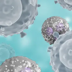Translational and Human Immunology web graphic