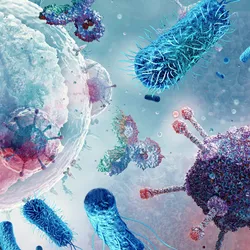 The Transplantation Immunology Laboratory - web graphic