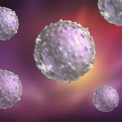 Tumour Immunology Laboratory - web graphic