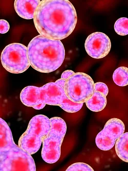 Breast cancer cells graphic