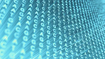 The Statistical Genetics Laboratory - web graphic