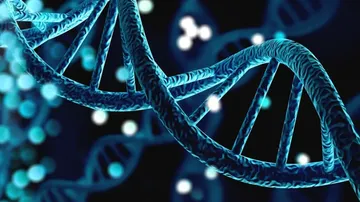 The Functional Cancer Genomics Group - web graphic