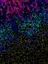 The Cancer Metabolism Group - web graphic