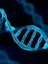 A DNA helix