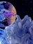 The Antigen Presentation and Immunoregulation Laboratory  web graphic