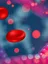 The Leukaemia Research Laboratory - web graphic