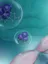 The Cellular and Molecular Neurodegeneration Laboratory - web graphic