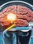 The Cognitive Fitness Laboratory - web graphic