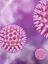 Cytomegalovirus - web graphic