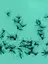 Dengue fever - web graphic