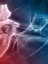 A human heart - Cardiac Drug Discovery Laboratory 