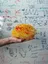 The Clinical Brain Networks Group - web graphic