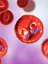 Malaria - infected blood cells