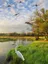 Mosquito Control Laboratory web graphic