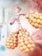 The Respiratory Immunology Laboratory - web graphic