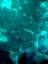 Scabies and Associated Bacterial Infections - graphic