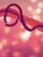 Schistosomiasis - graphic
