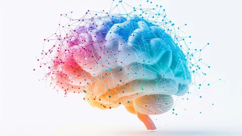 A colourful brain and connections