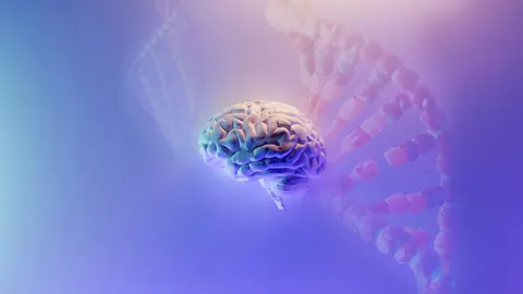 A human brain and DNA