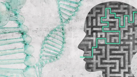 Females carry a higher genetic risk of depression 