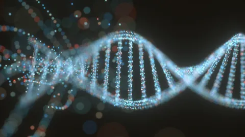 Genetic Analysis and Sequencing Facility - DNA graphic