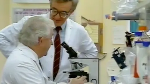Iron disorders and liver disease research leaders