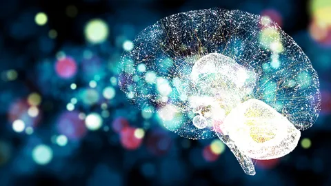 Prospective Imaging Study of Ageing (PISA)