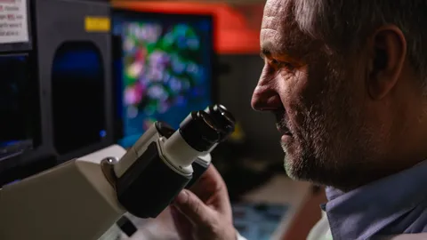 A scientist looks down a microscope