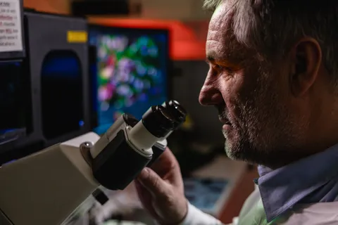 A scientist looks down a microscope