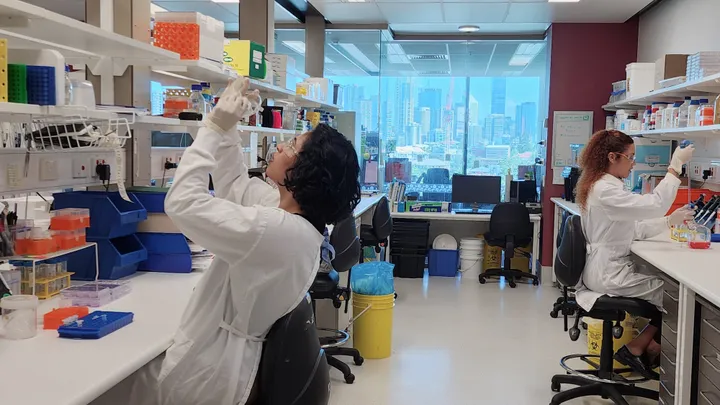 Lab work