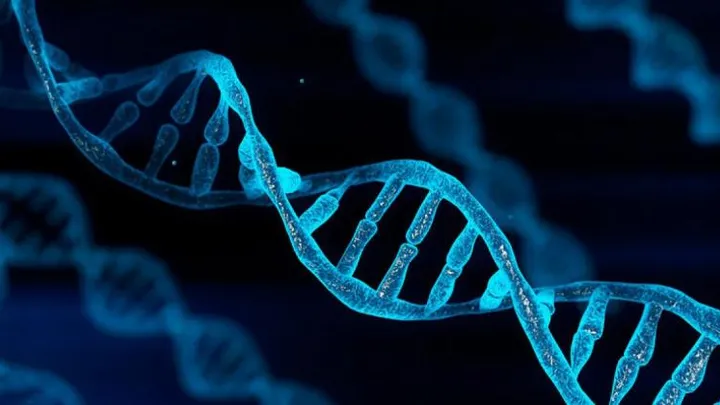 A DNA helix