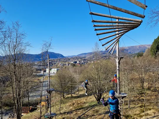Students climbing