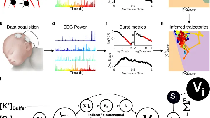 The Brain Modelling Group - project 1