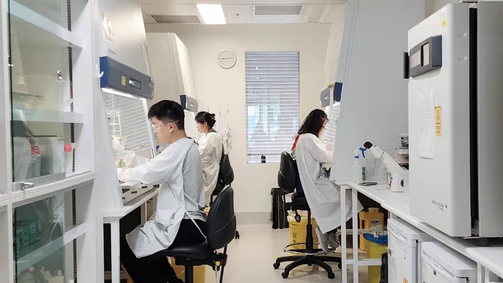 At work in the lab