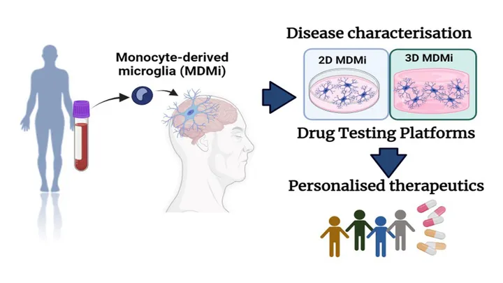 Disease chatacterisation graphic