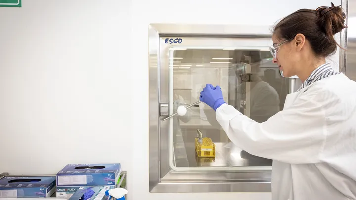 Cell Manufacturing at QIMR Berghofer