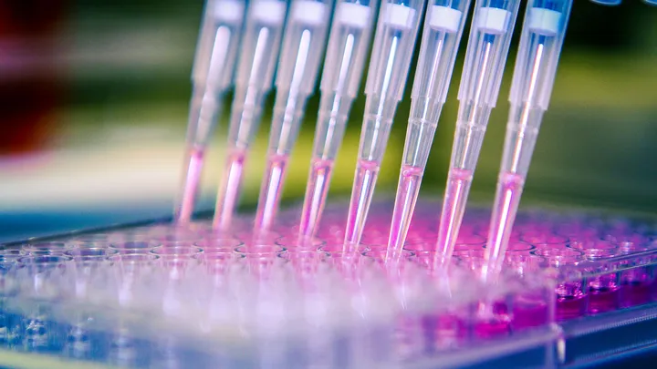 The Sample Processing Service - web graphic