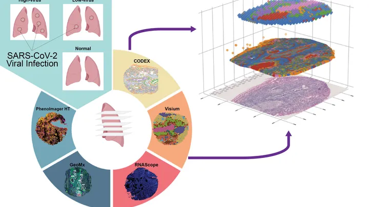 Multiomics mapping