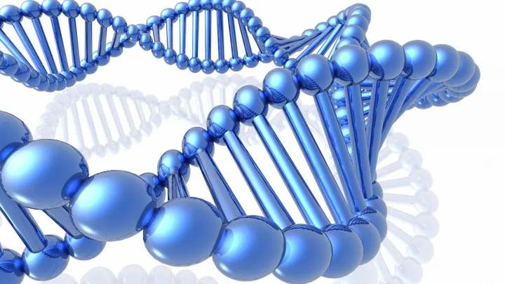 QIMR Berghofer team discovers females carry a higher genetic risk of depression