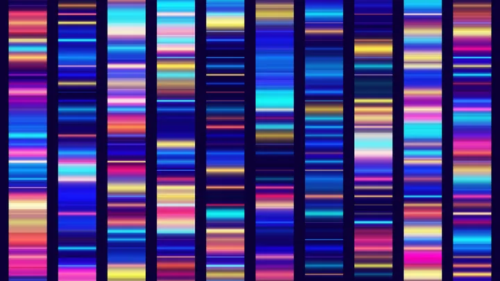 DNA sequencing genetic screening test strip