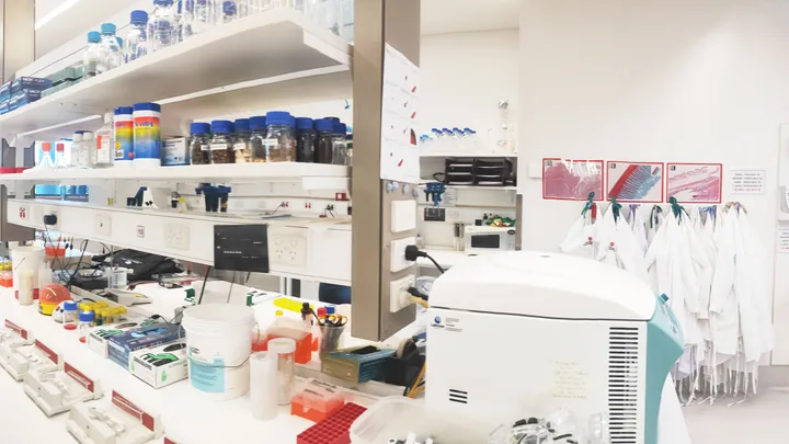 The Clinical Malaria lab