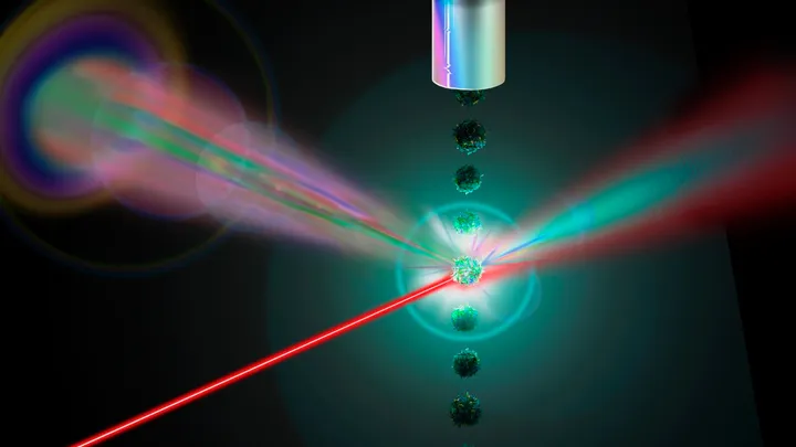 Flow Cytometry and Imaging Facility  - web graphic