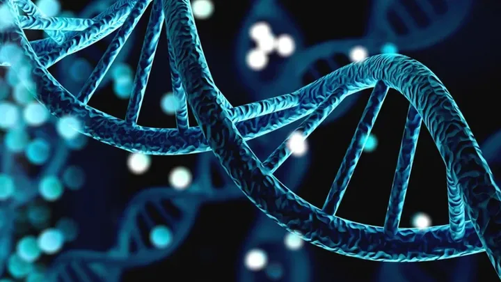 The Functional Cancer Genomics Group - web graphic