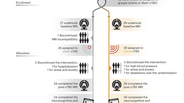 The Clinical Brain Networks Group - project 1