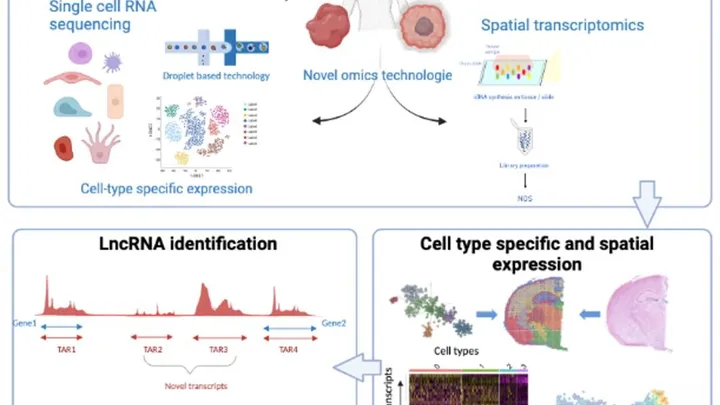 Discovering lncRNA in cancer 