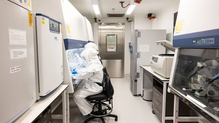 Tumour Immunology researchers in PC3 lab