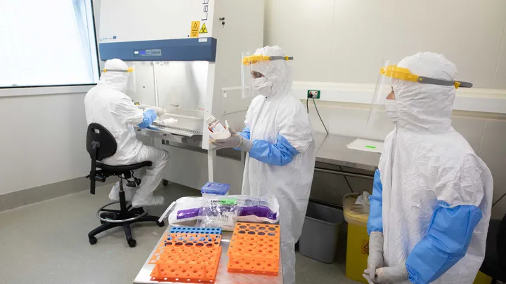 Researchers in the lab