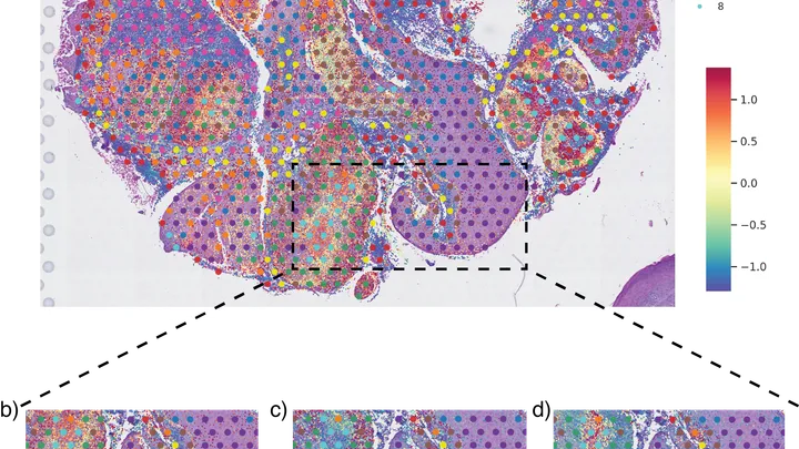 Mapping Protein to H&E